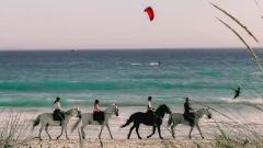 Horseback Ride Through Scenic Heathland Thumb