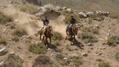 Horseback Ride Through Scenic Heathland Thumb
