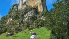 Horseback Ride Through Scenic Heathland Thumb