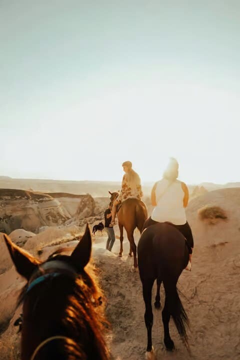 Old Harry Rocks Horseback Riding Tour