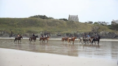 Old Harry Rocks Horseback Riding Tour Thumb