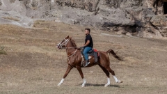 Old Harry Rocks Horseback Riding Tour Thumb