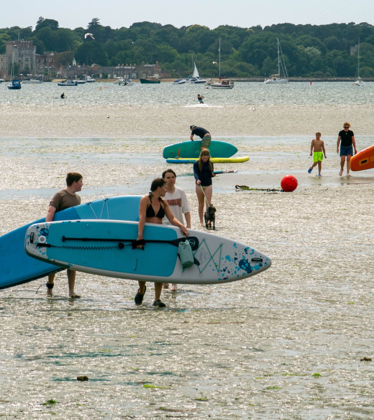 Brownsea Island Paddleboarding Backdrop