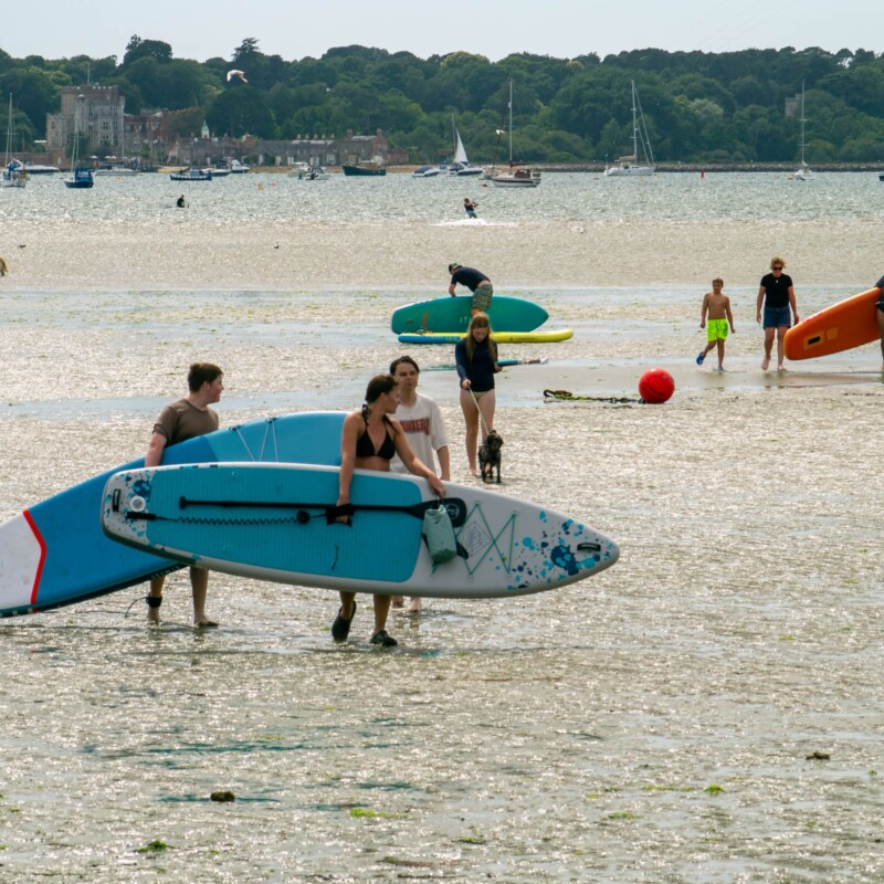 Brownsea Island Paddleboarding Backdrop