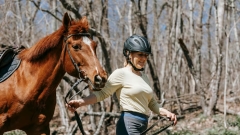 Rempstone Forest Horseback Riding Tour Thumb