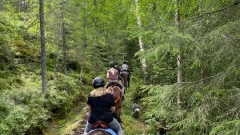Rempstone Forest Horseback Riding Tour Thumb