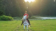 Rempstone Forest Horseback Riding Tour Thumb