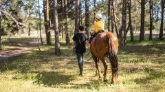 Rempstone Forest Horseback Riding Tour Thumb