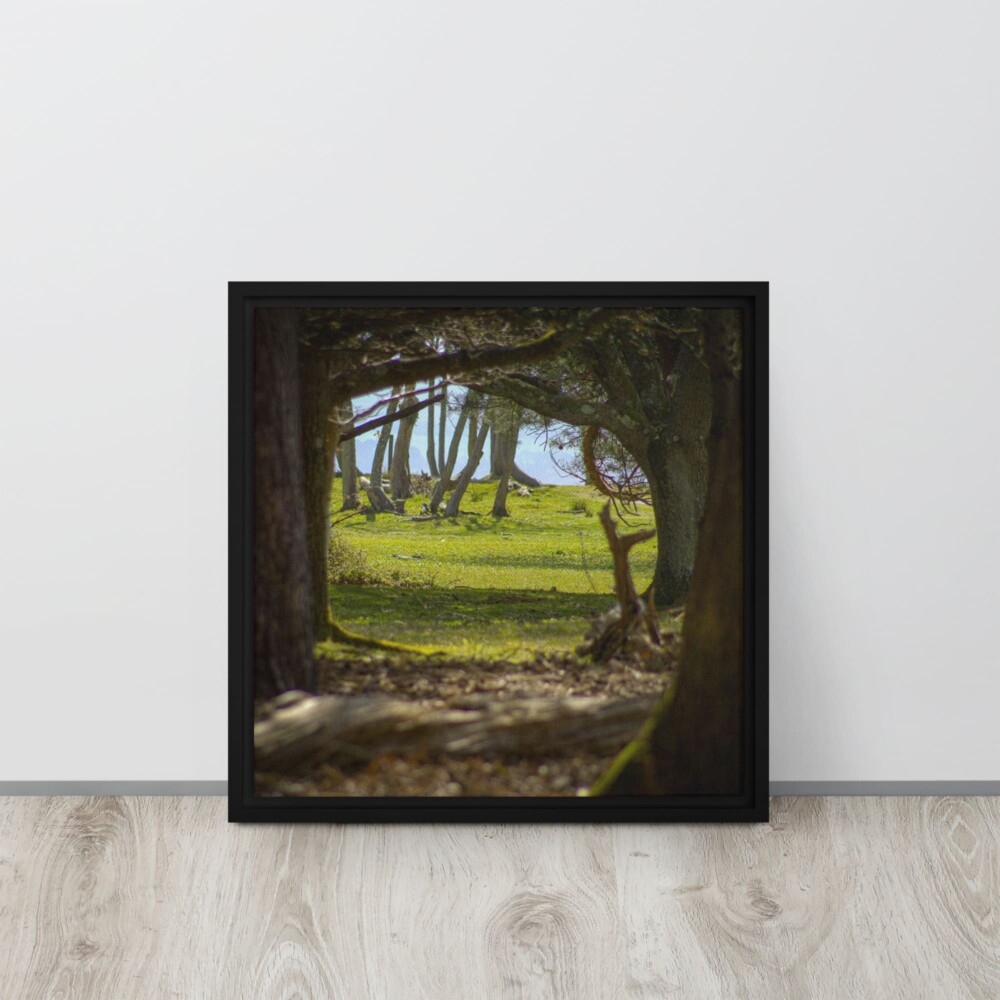Brownsea Woodland Window – Square Framed Canvas Wall Art